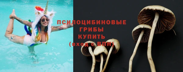 каннабис Новодвинск