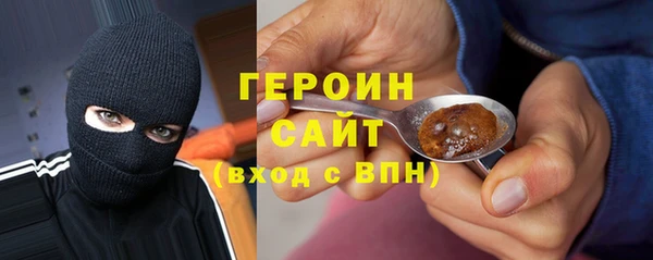 индика Бронницы