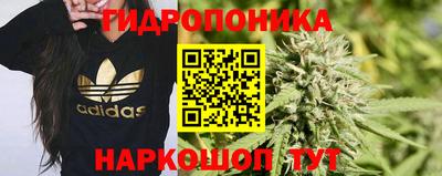 амф Гатчина