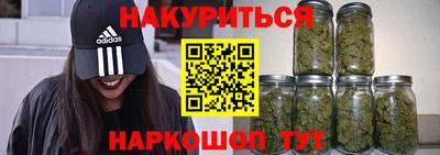 амф Гатчина